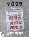 주간경향 통권1669호 (2026-03-09)