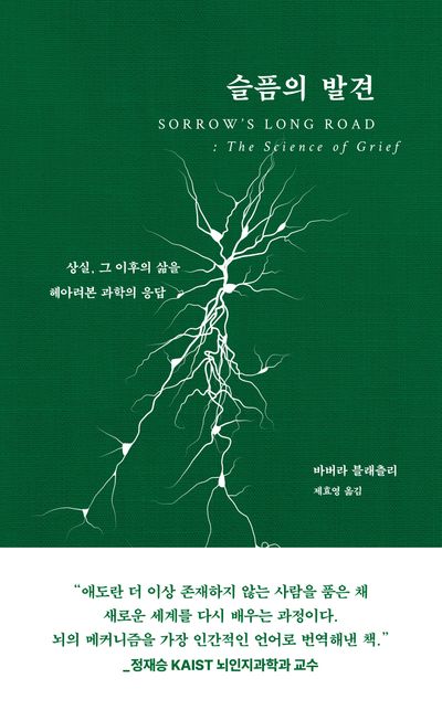 슬픔의 발견 