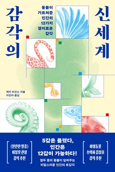 감각의 신세계