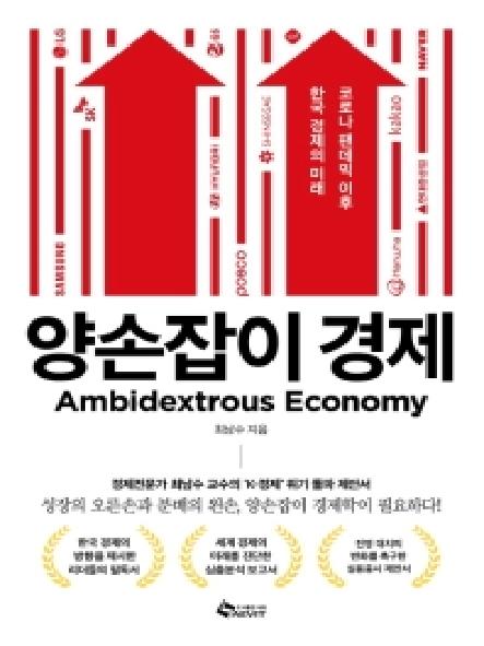 양손잡이 경제 = Ambidextrous economy : 코로나 팬데믹 이후 한국 경제의 미래 표지