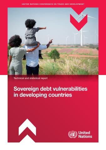 Sovereign debt vulnerabilities in developing countries