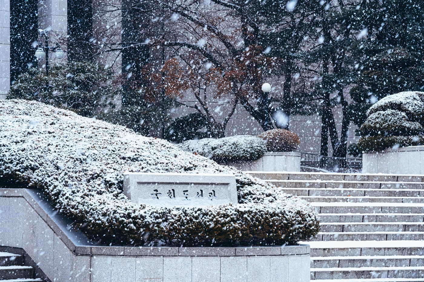 National Assembly Library(Winter)