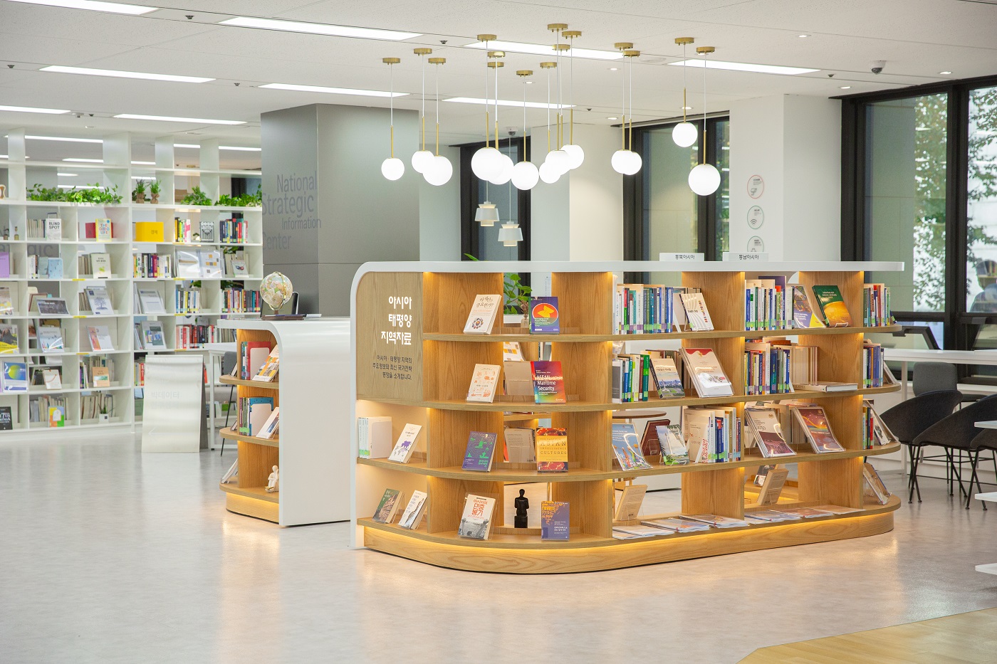 Naitonal Strategy Information Center