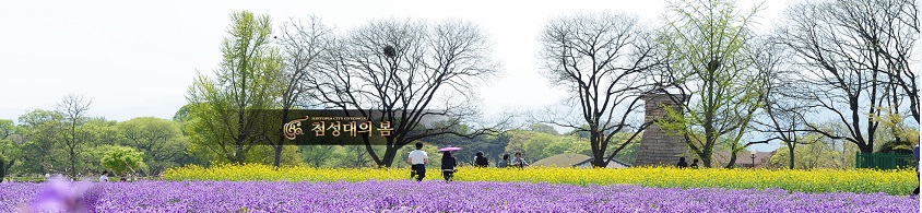 춤추는 바다 분수