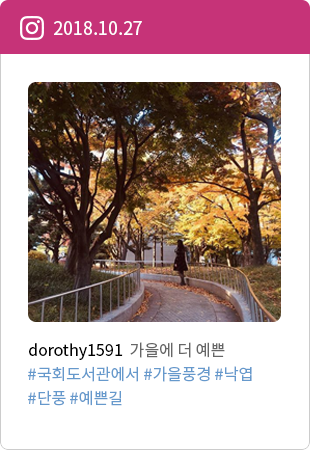 dorothy1591 가을에 더 예쁜 #국회도서관에서 #가을풍경 #낙엽 #단풍 #예쁜길