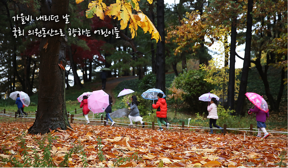 가을비 내리던 날 국회 의원동산으로 향하는 어린이들