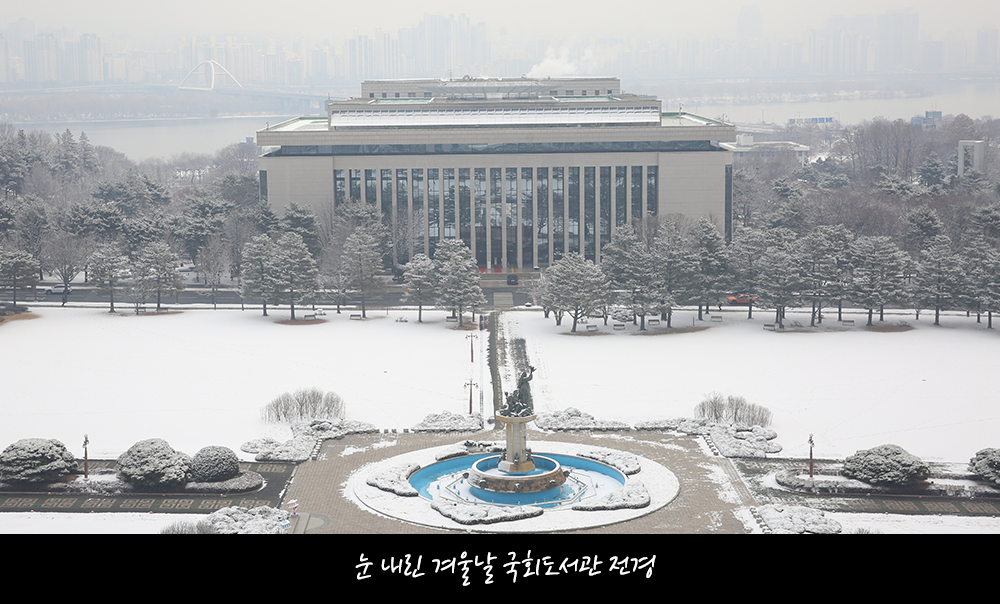 눈내린 겨울날 국회도서관 전경