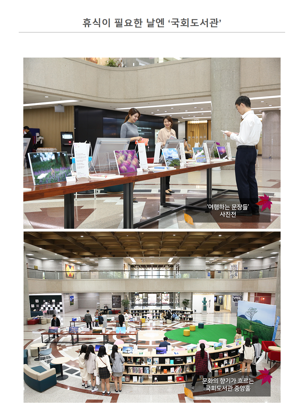 휴식이 필요한 날엔 국회도서관