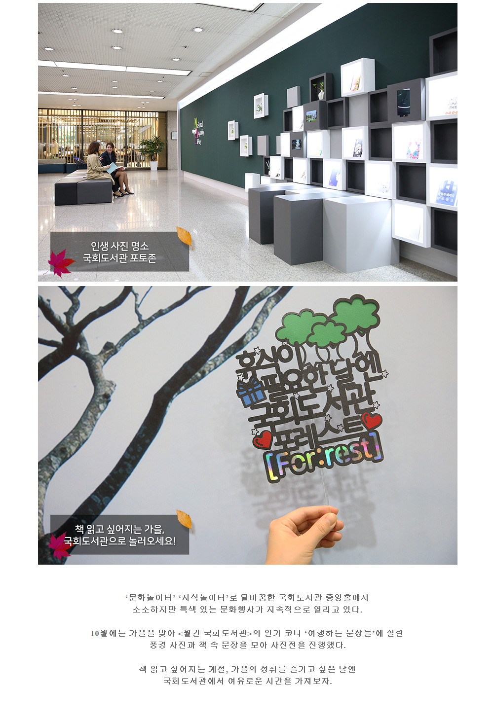 인생사진명소 국회도서관 포토존