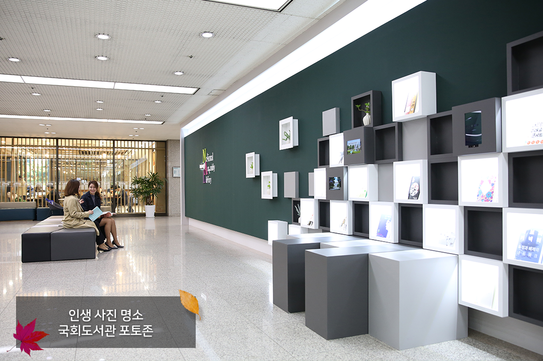 인생 사진 명소 국회도서관 포토존