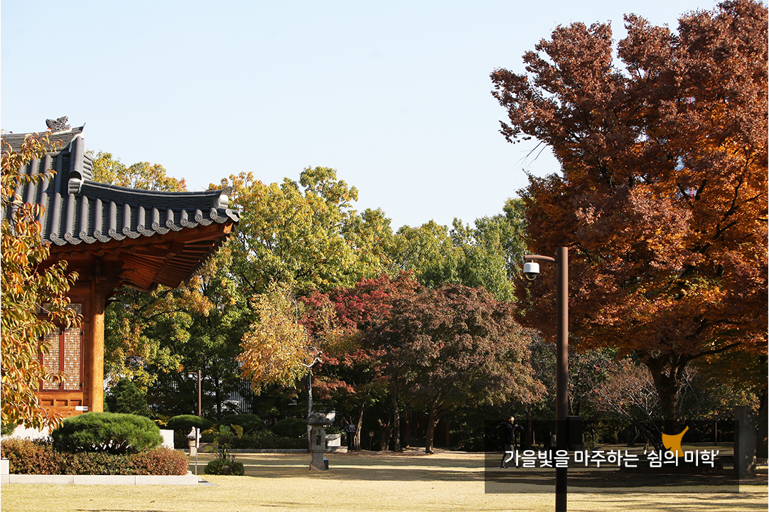 가을빛을 마주하는 쉼의 미학