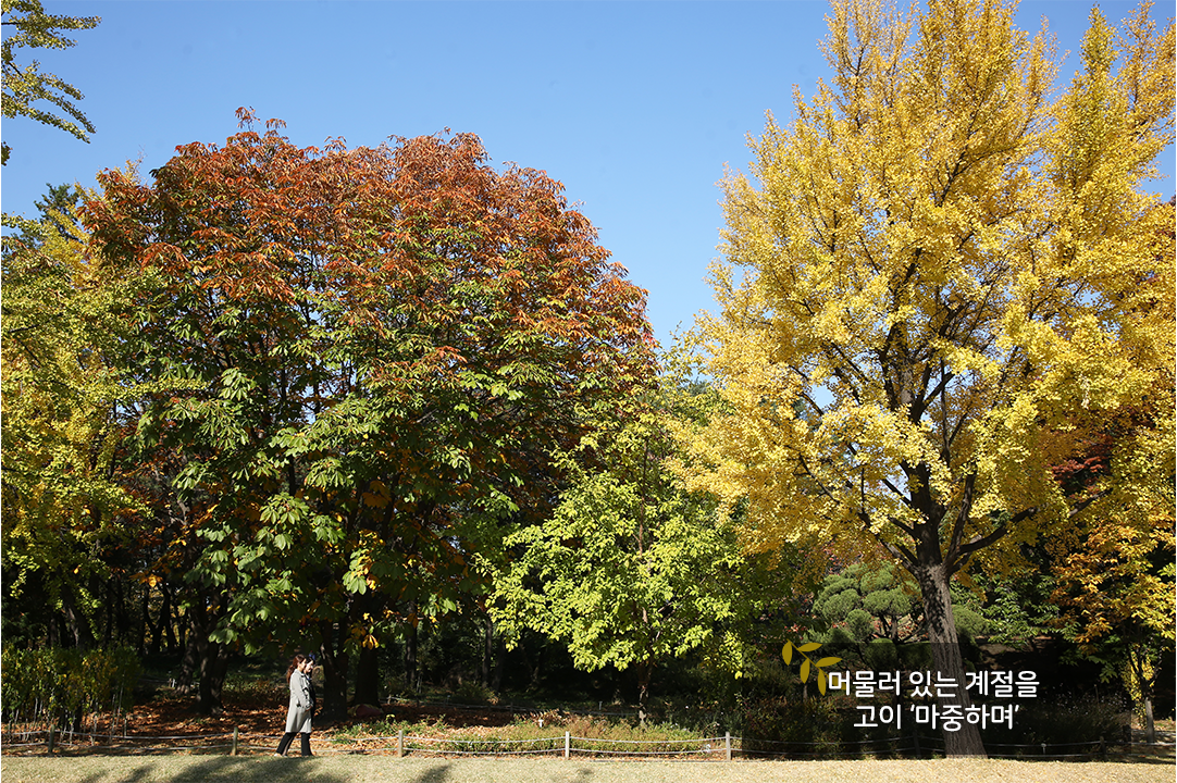 머물어 있는 계절을 고이 마중하며