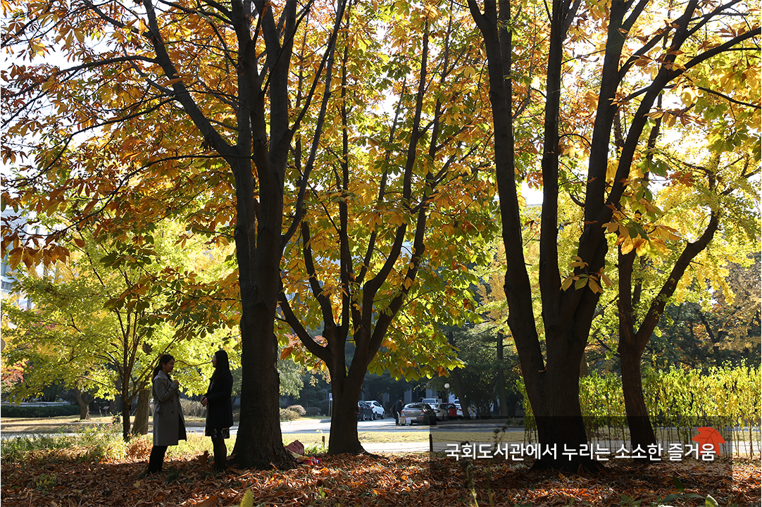 국회도서관에서 누리는 소소한 즐거움