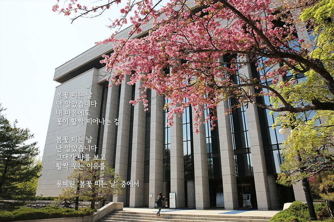 봄, 꽃 그리고 시가 있는 국회도서관
